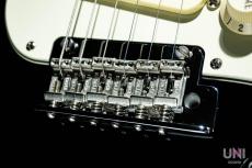 Fender American Professional Stratocaster / 2016_6