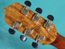 ERVIN SOMOGYI MODIFIED D_6