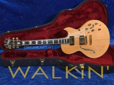 Carlo Greco Semi-Hollowbody