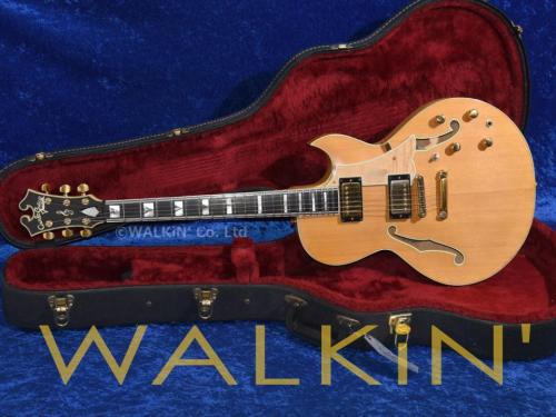 Carlo Greco Semi-Hollowbody