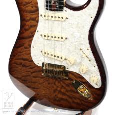 FENDER USA Custom Shop Stratocaster Tree of Life_12
