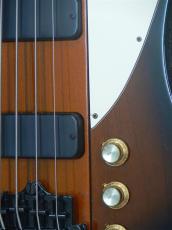 Gibson Thunderbird IV_9