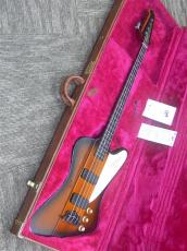 Gibson Thunderbird IV_11