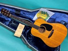 Martin D-18 