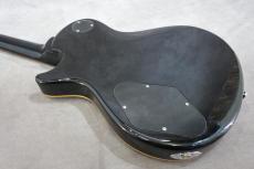 Paul Reed Smith [PRS] SE245_5