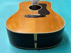 Guild D-55 NT_11