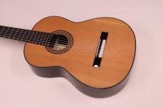 Martinez [マルティネス] 7弦ギター MCG-7S_4