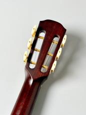 K.Yairi 【ソロギターにおススメ!!】NY-90V SB_5