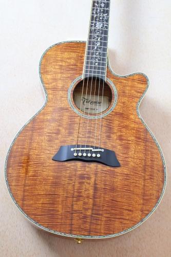 Takamine 【オールコア・美杢目】DMP100K N #63032446