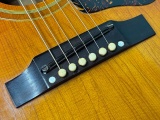 Gibson J-160E_10