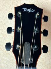 Taylor 【試奏動画あり】Custom GA #13031 UrbanAsh_5