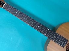 Gibson B-15_7