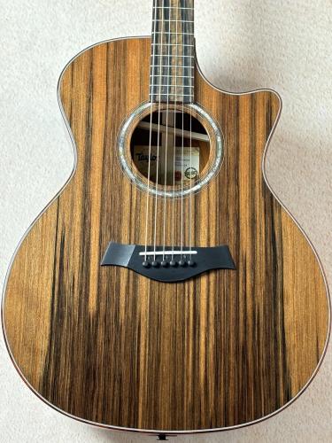 Taylor 【1本限定モデル!!】Custom GA #13027 cocobolo/Shinker
