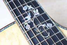 Taylor GA Custom プレミアムベアクロウスプルース×ホンジュラスローズ_5