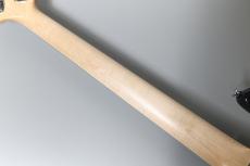 Bacchus WOODLINE HOLLOW5-SAKURA SP'26/E【重量4.34kg】【即納可能】【5弦】【ディバイザー大商談会2026】_9