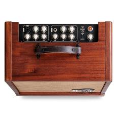 Taylor Circa 74 Amp - Mahogany_7