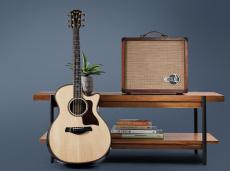 Taylor Circa 74 Amp - Mahogany_11