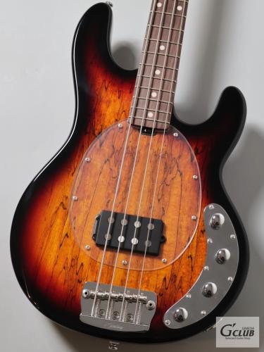 Sterling by MUSIC MAN RAY34SM -3 Tone Sunburst-【4.48kg】