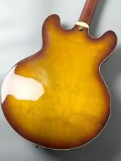 Seventy Seven Guitars EXRUBATO-STD/S-JT -Ice Tea Burst-【国内でのセットアップ】_7