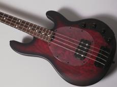 Sterling by MUSIC MAN RAY34PB -Dark Scarlet Burst Satin-【4.28kg】_4
