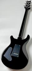 Paul Reed Smith [PRS] SE Custom 24 - Amethyst- 2025年製#CTIH002948【3.60kg】_9