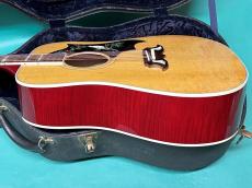 Gibson 60's DOVE AN_4