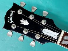 Gibson 60's DOVE AN_5