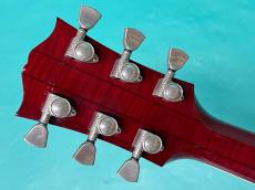 Gibson 60's DOVE AN_6