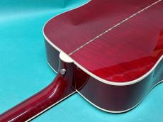 Gibson 60's DOVE AN_9