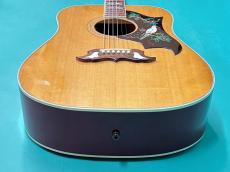 Gibson 60's DOVE AN_11