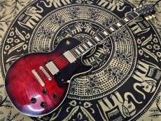 Gibson 【現地選定品】 ~Dealer Select~ 1959 Les Paul Standard Red Tiger Burst Ebony Back VOS【#951000】_6