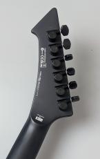LTD SNAKEBYTE -Black Satin-【3.64kg】_9