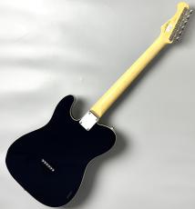 FUJIGEN FGN NTE210RAH-BK/01 #A240344【アッシュ×ローズ】【幅広いサウンドメイク】_6