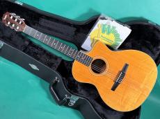 Taylor 214CE-N 