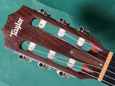 Taylor 214CE-N _5
