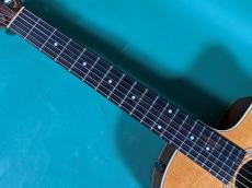 Taylor 214CE-N _8