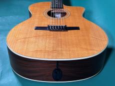 Taylor 214CE-N _11