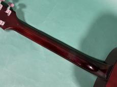 Guild D-35 NT_8