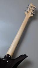 Astrum Guitars Aries HH Piezo  Flame Blue Burst 【3.64kg】_8