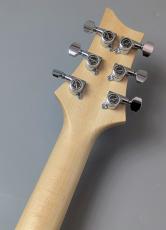 Astrum Guitars Aries HH Piezo  Flame Blue Burst 【3.64kg】_9