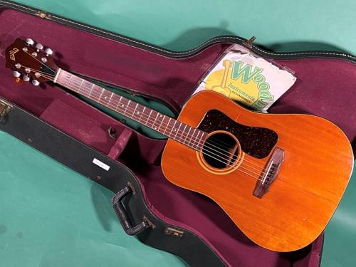 Guild D-35 NT