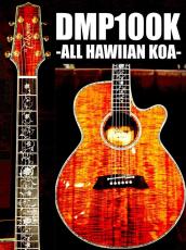 Takamine 【お客様専用】DMP100K N