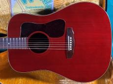 Guild D-25 CH_2