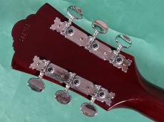 Guild D-25 CH_6