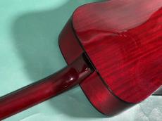 Guild D-25 CH_9