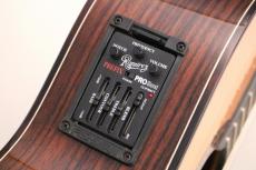 Jose Ramirez [ホセ・ラミレス] 【特典あり!】Estudio 140 CWE Cedar #162【スペイン製 本格派エレガット】【杉×ローズウッド総単板】【デュアルPU】_12