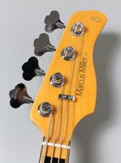 Sire V7 Alder New Gen 4st NAT / Natural 【軽量3.98kg】_7