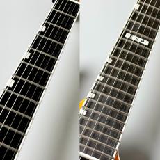 E-II HORIZON NT-II -Tiger Eye Amber Fade- #ES3872243【展示チョイキズ特価】【3.78kg】_4