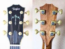 Taylor GA Custom プレミアムベアクロウスプルース×ホンジュラスローズ_6