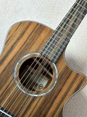 Taylor 【1本限定モデル!!】Custom GA #13027 cocobolo/Shinker_3